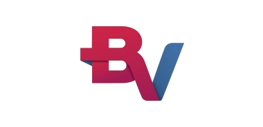 logo_bvfinanceira